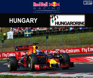 Puzzle Daniel Ricciardo, GP Ουγγαρίας 2016